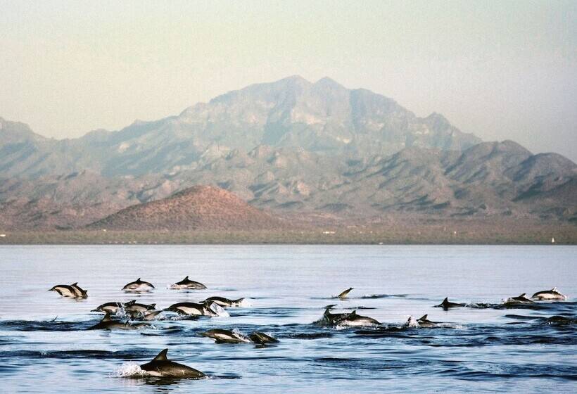 فندق Loreto Bay Golf Resort & Spa At Baja