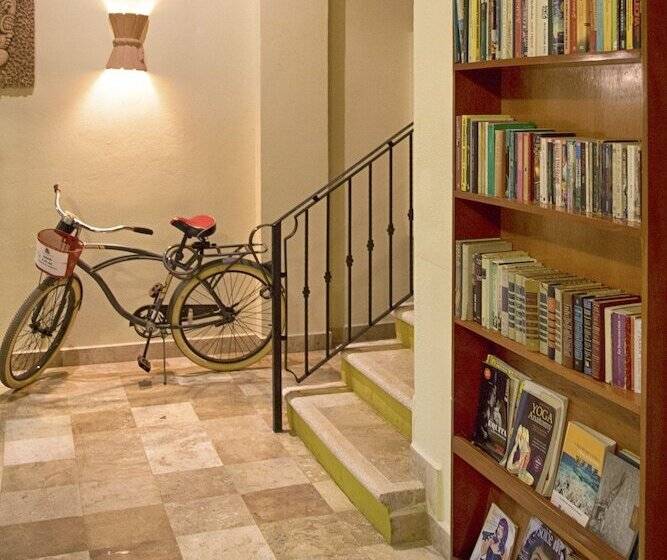 בית מלון כפרי Los Itzaes By 5th Av