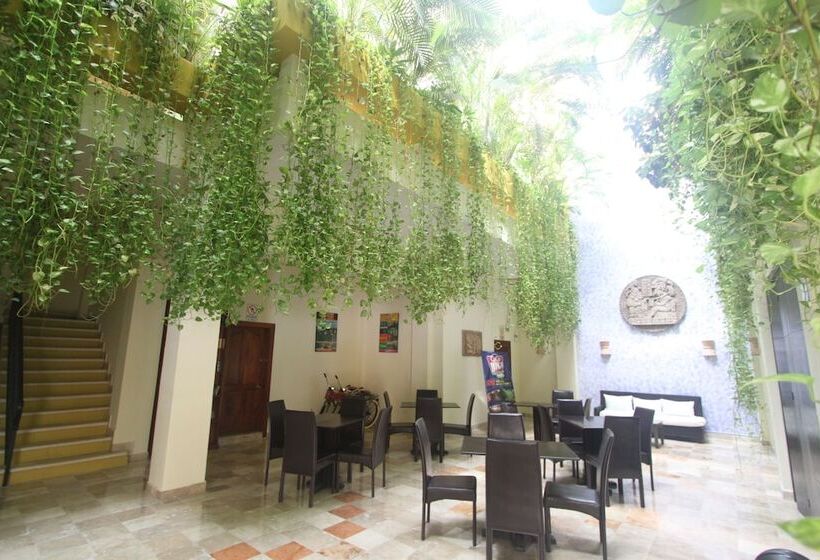 בית מלון כפרי Los Itzaes By 5th Av