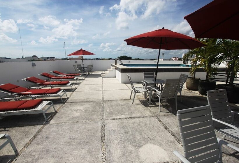 בית מלון כפרי Los Itzaes By 5th Av