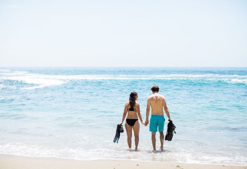 فندق Montage Laguna Beach