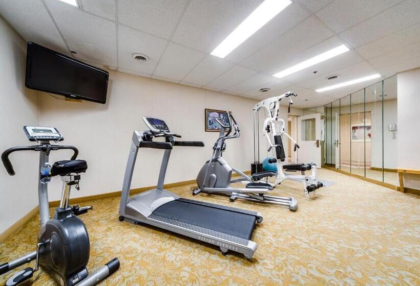 酒店 Monte Carlo Inn Brampton