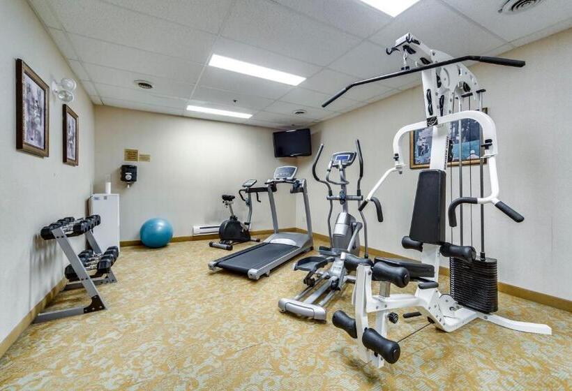 酒店 Monte Carlo Inn Brampton