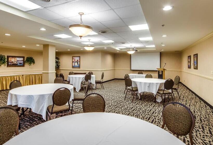 酒店 Monte Carlo Inn Brampton