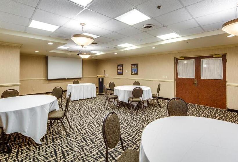 酒店 Monte Carlo Inn Brampton