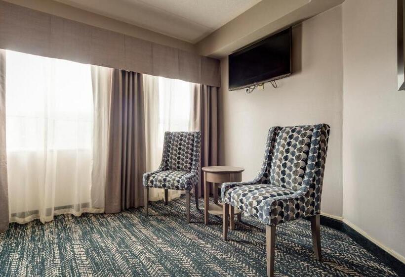 酒店 Monte Carlo Inn Brampton