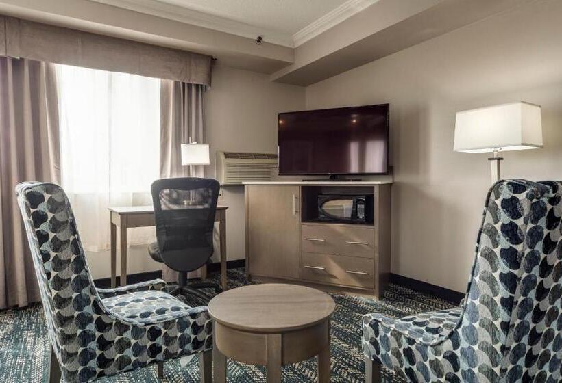 酒店 Monte Carlo Inn Brampton