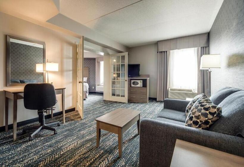 酒店 Monte Carlo Inn Brampton