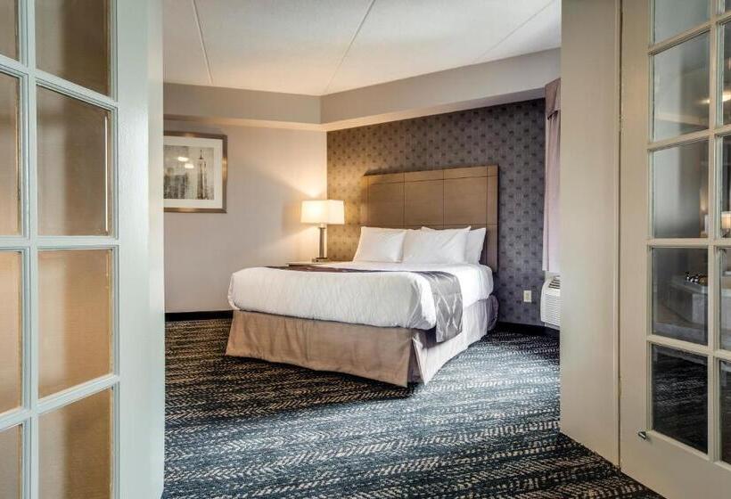 酒店 Monte Carlo Inn Brampton