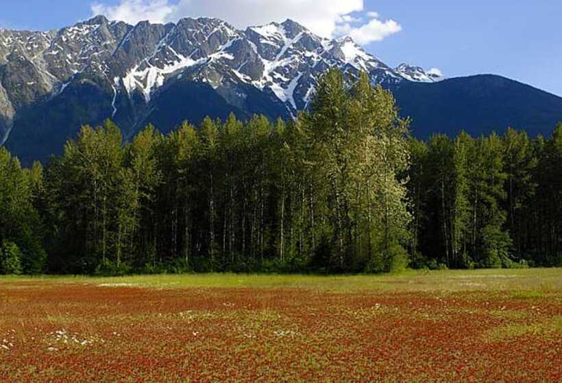 ホテル Pemberton Valley Lodge