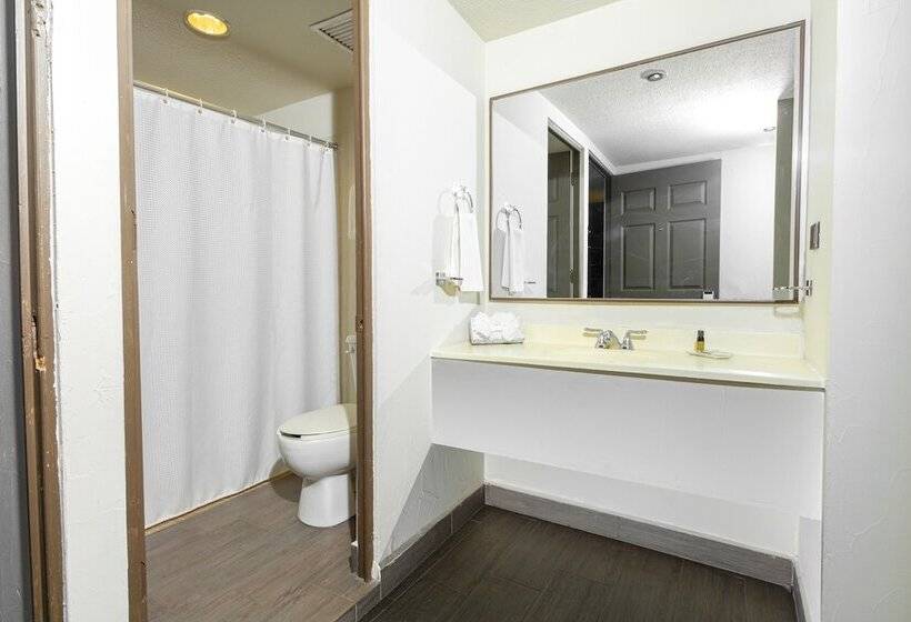 בית מלון כפרי Plaza Del Arco  Monterrey