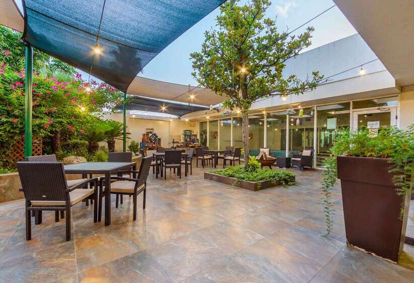 酒店 Quality Inn Monterrey La Fe