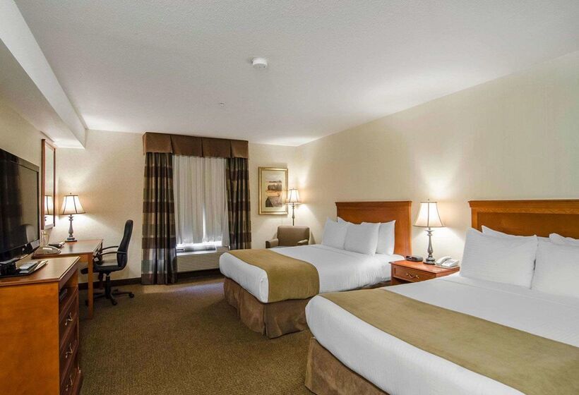 فندق Quality Inn & Suites