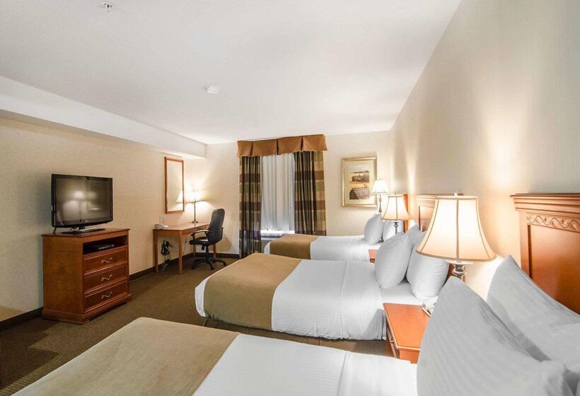 فندق Quality Inn & Suites