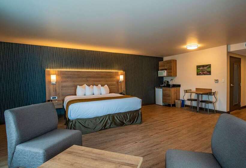 فندق Quality Suites