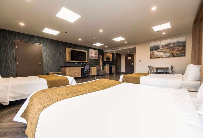 فندق Quality Suites