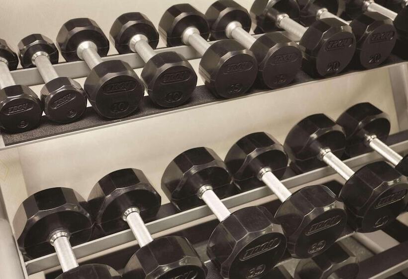 Radisson Hotel Dallas North Addison