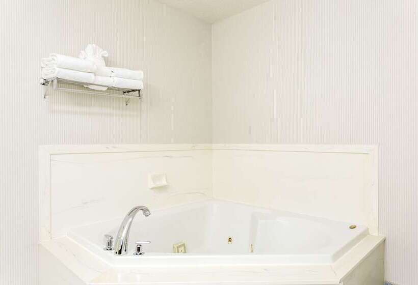 Отель Comfort Inn & Suites Salt Lake City I 80 I 15 Downtown