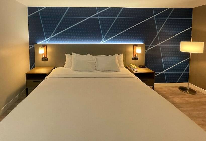 Отель Comfort Inn & Suites Salt Lake City I 80 I 15 Downtown