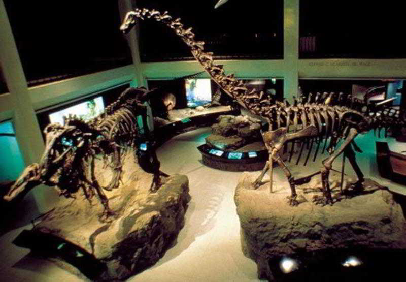 酒店 Residence Inn Houston Northwest/willowbrook