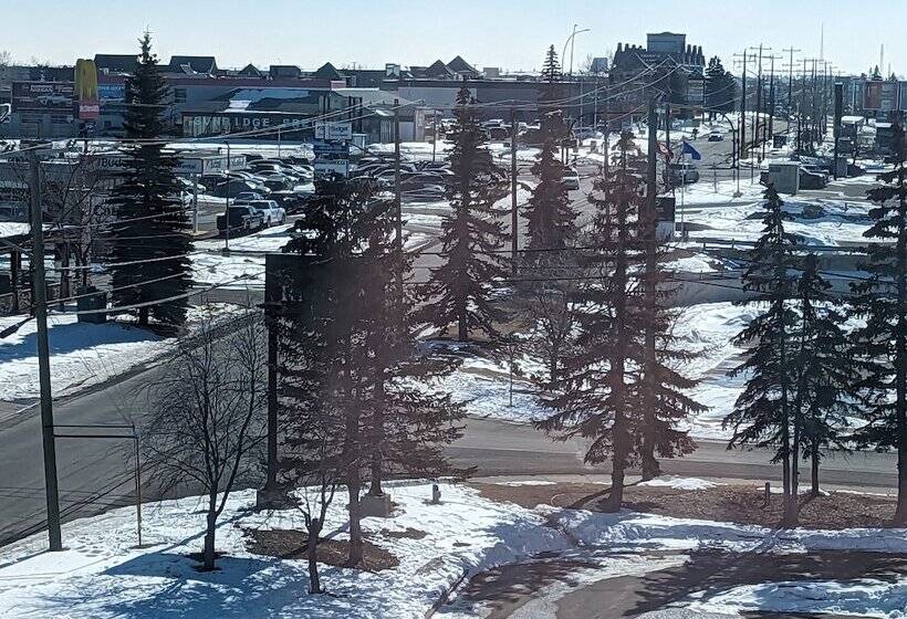 בית מלון כפרי Divya Sutra Plaza And Conference Centre Calgary Airport