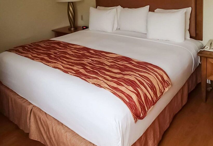 בית מלון כפרי Rodeway Inn South Miami Coral Gables