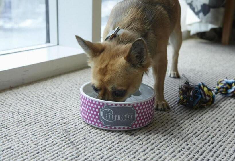 酒店 Salthouse Harbour