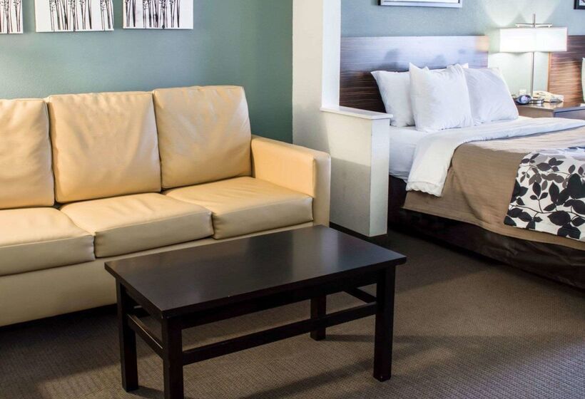 בית מלון כפרי Sleep Inn & Suites Monticello