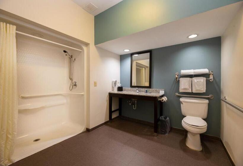 בית מלון כפרי Sleep Inn & Suites Monticello