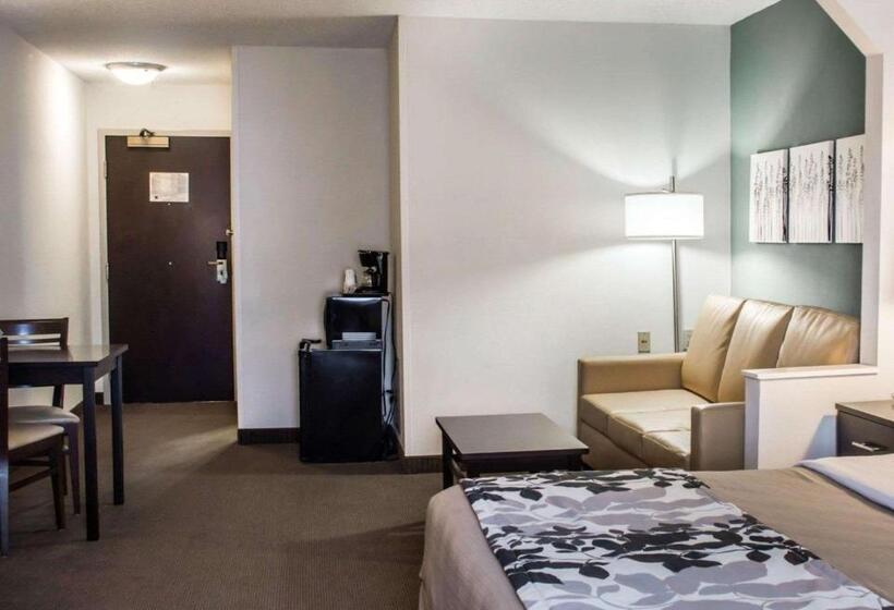 בית מלון כפרי Sleep Inn & Suites Monticello