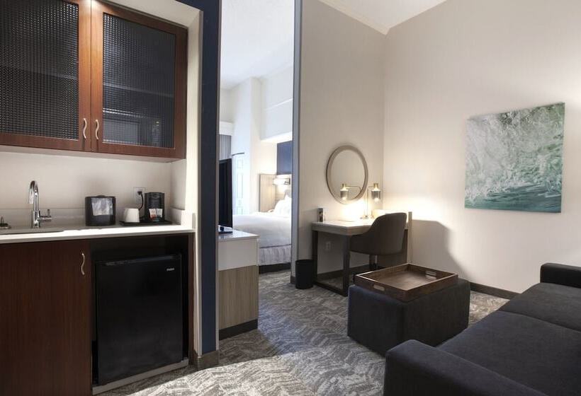 فندق Springhill Suites Savannah Airport