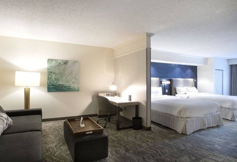 فندق Springhill Suites Savannah Airport