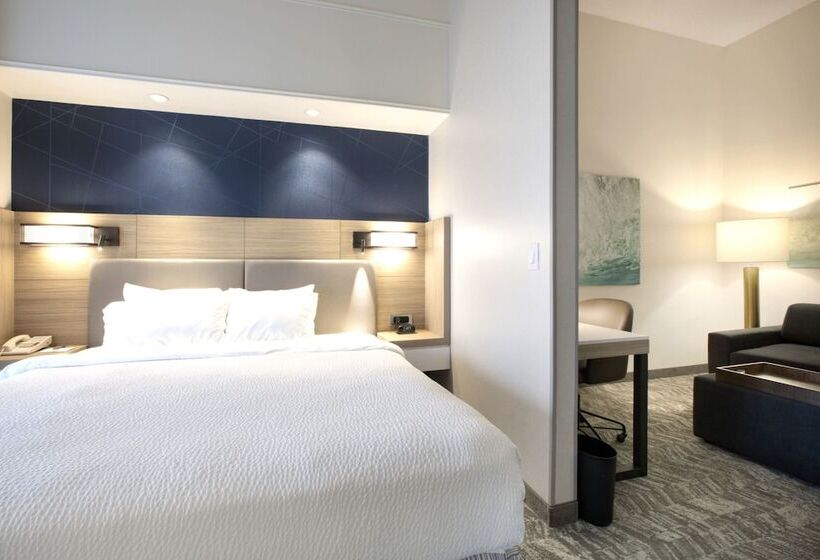 فندق Springhill Suites Savannah Airport