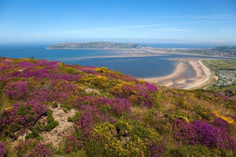 St George S Hotel   Llandudno