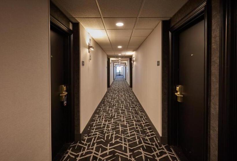 Stay Inn Hotel Toronto