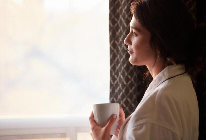 Stay Inn Hotel Toronto