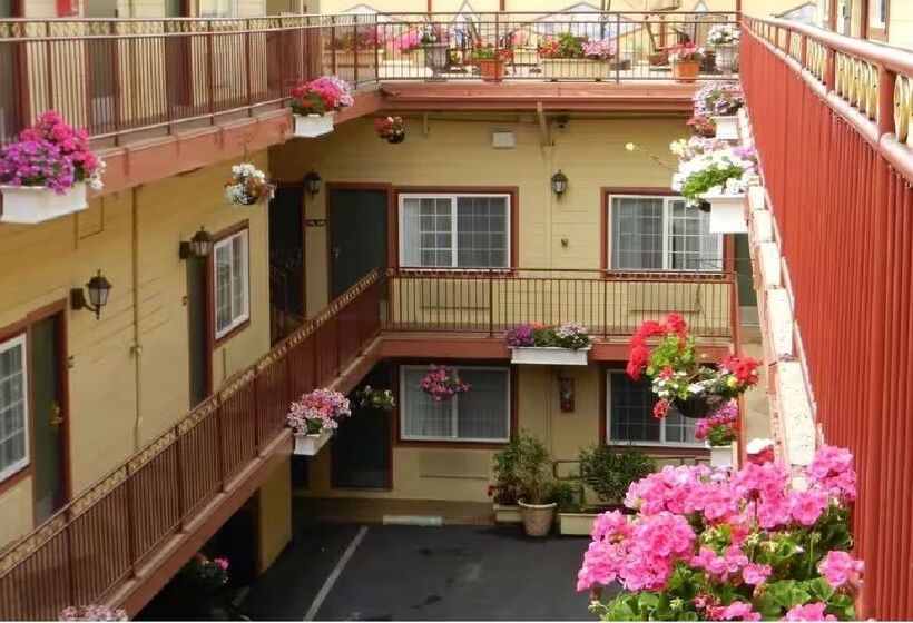 فندق Signature Inn San Francisco Marina District