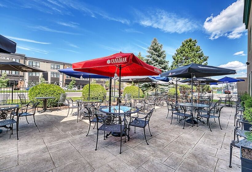 فندق The Casablanca