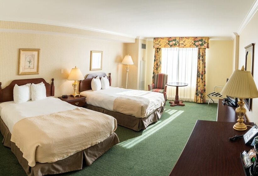 فندق The Casablanca