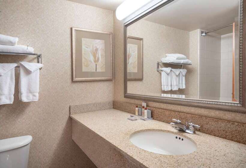 فندق Wingate By Wyndham Charlotte Airport