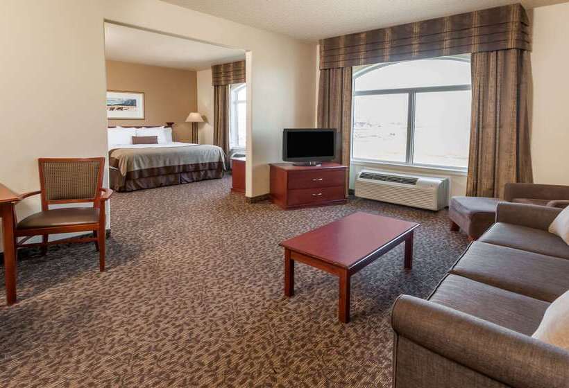 酒店 Wingate By Wyndham Edmonton West