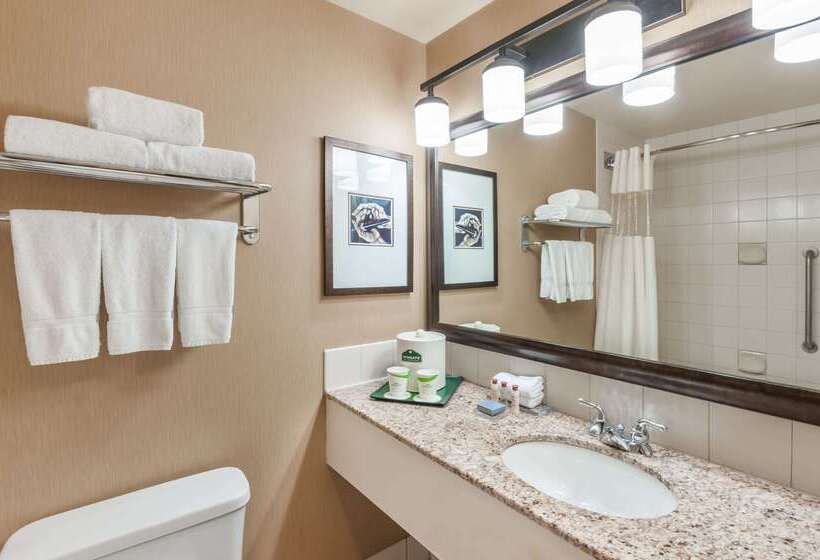 酒店 Wingate By Wyndham Edmonton West