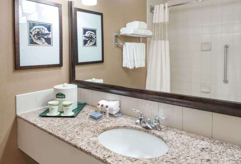 酒店 Wingate By Wyndham Edmonton West