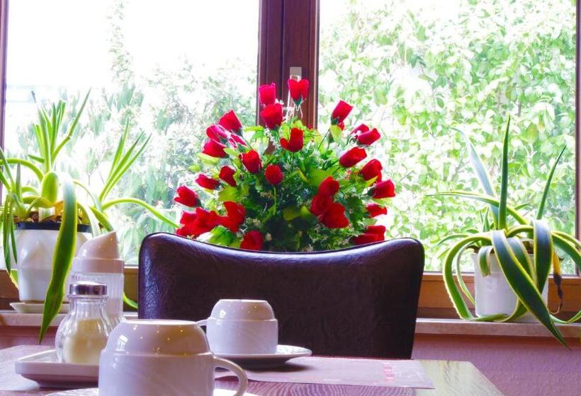 Отель Zum Adler