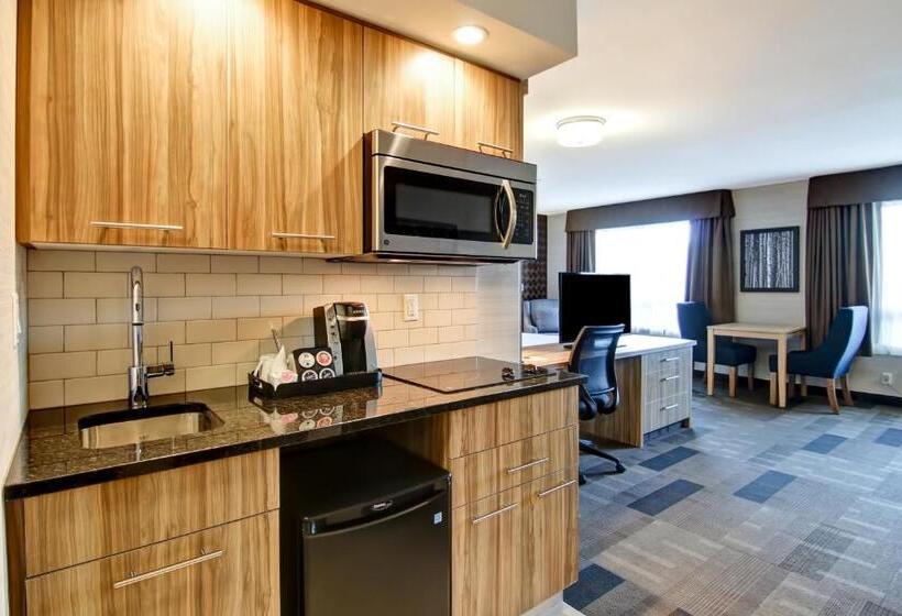 فندق على الطريق Canalta St.paul