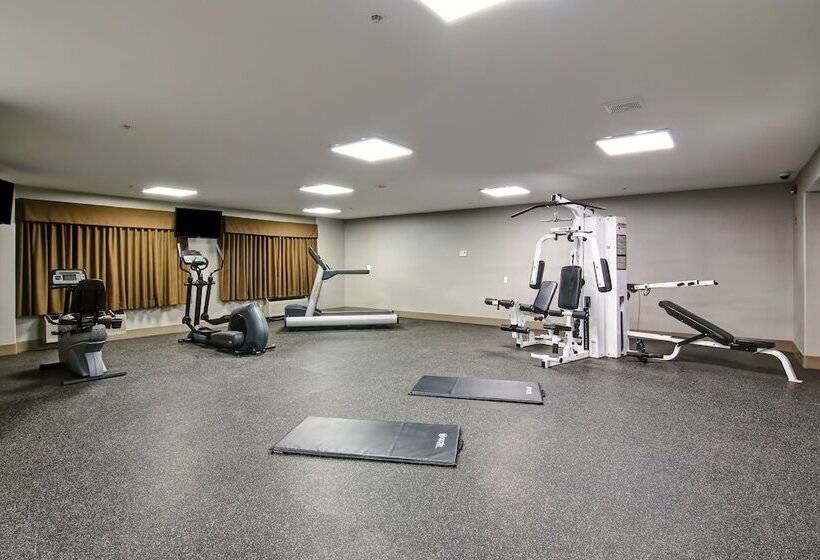 فندق على الطريق Canalta St.paul