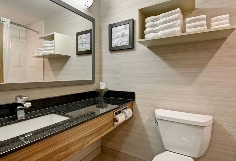 فندق على الطريق Canalta St.paul