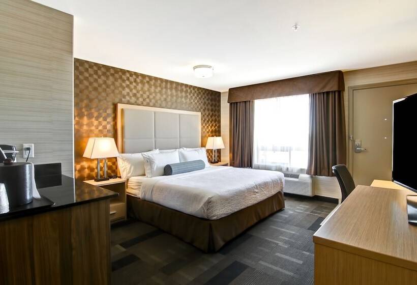 فندق على الطريق Canalta St.paul