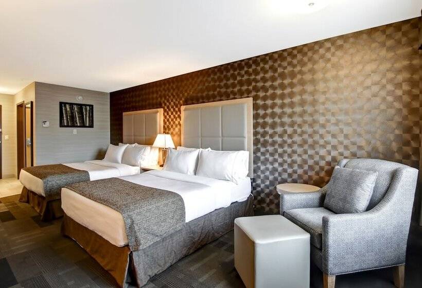 فندق على الطريق Canalta St.paul