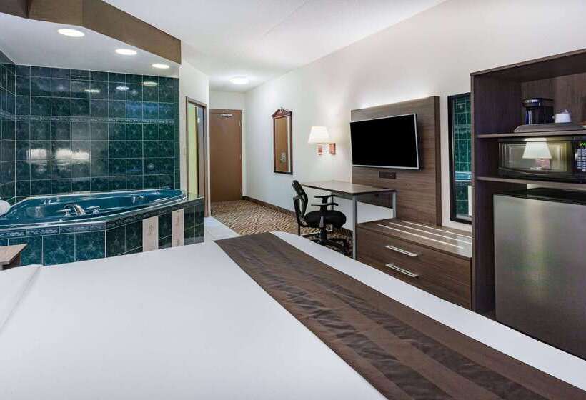 מוטל Super 8 By Wyndham Ambassador Bridge Windsor On